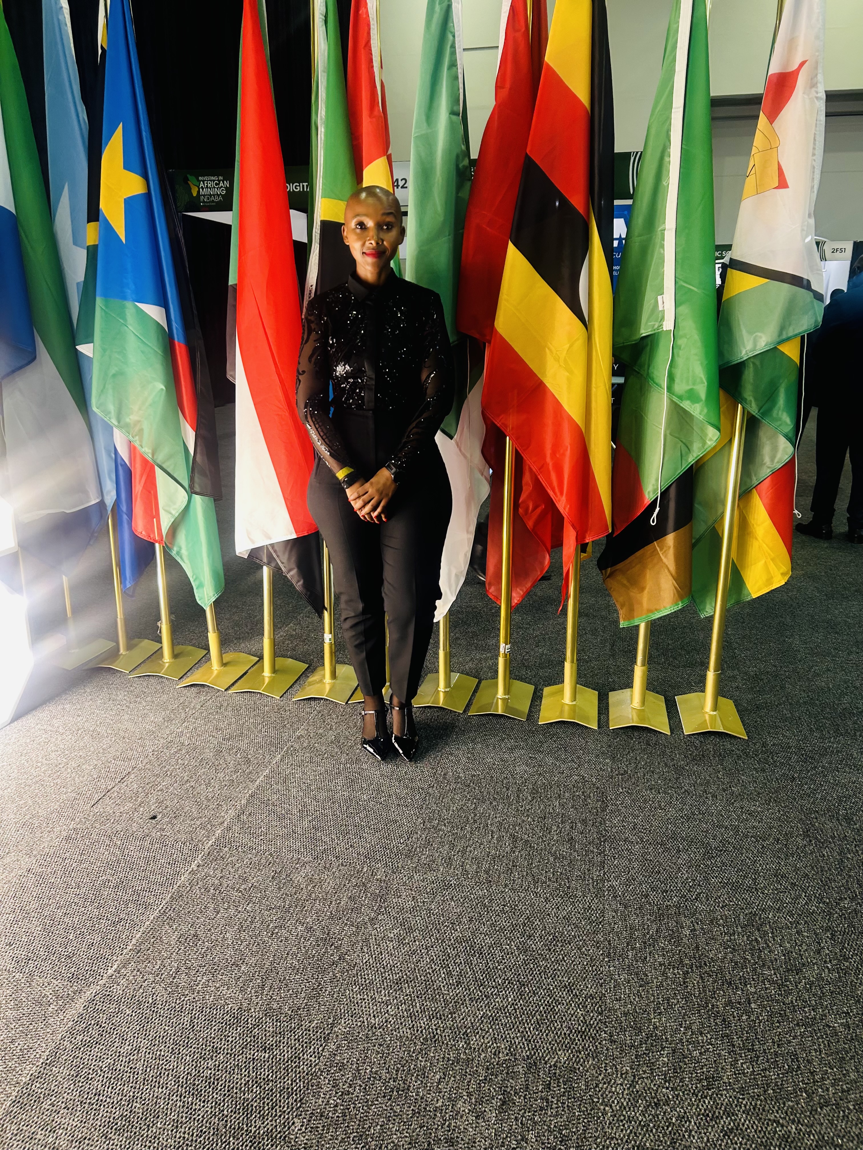 Investing In African Mining Indaba 2026 - Image 2
